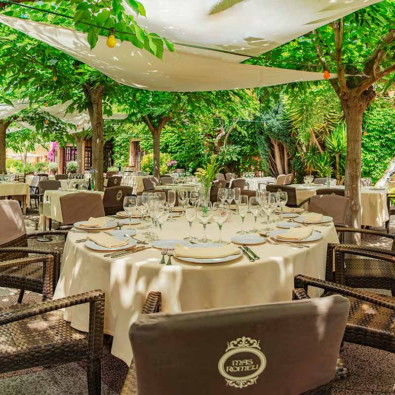 Disfruta de nuestra Terraza